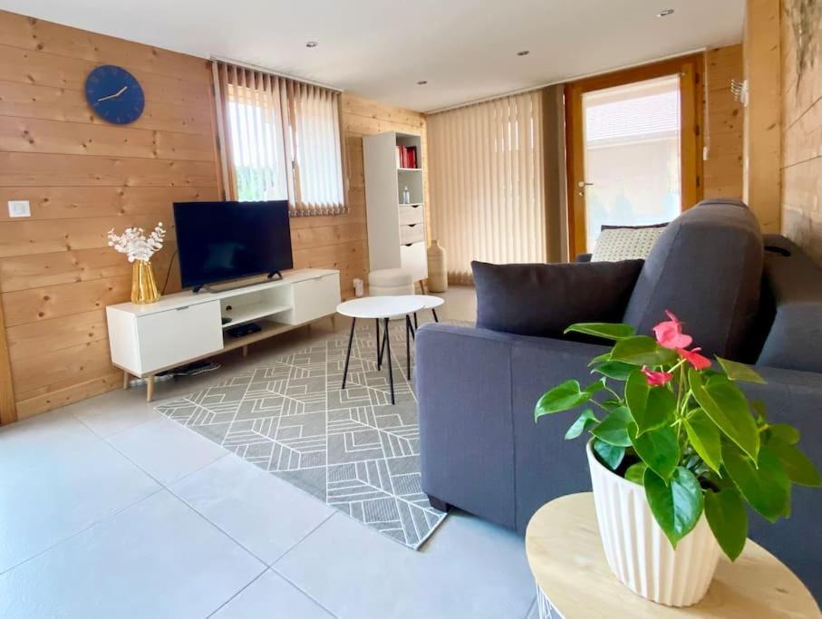 Androsace Appartement Dans Chalet Bois Avec Jacuzzi Privatif Terrasse Et Vue Montagne Les Villards-sur-Thônes Exteriör bild