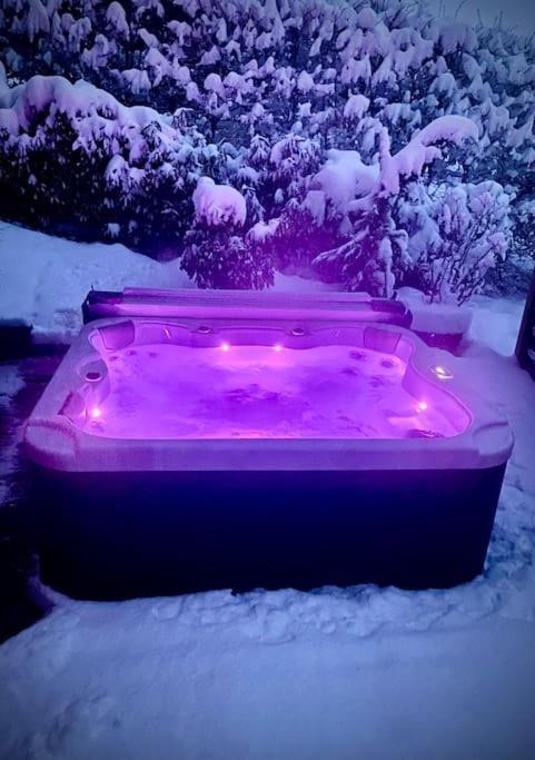 Androsace Appartement Dans Chalet Bois Avec Jacuzzi Privatif Terrasse Et Vue Montagne Les Villards-sur-Thônes Exteriör bild